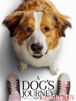 Hành Trình Của Chú Chó Bailey - A Dog*s Journey (2019)