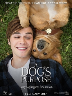 Mục Đích Sống Của Một Chú Chó - A Dog*s Purpose (2017)