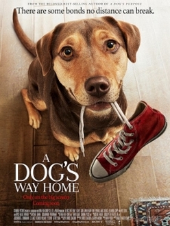 Đường Về Nhà Của Cún Con - A Dog*s Way Home (2019)