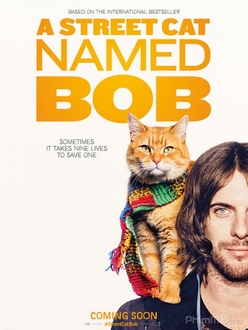 Chú Mèo Đường Phố - A Street Cat Named Bob (2016)