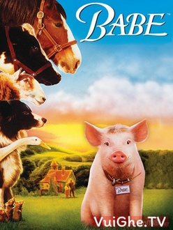 Chú Heo Chăn Cừu Full HD VietSub - Babe (1995)
