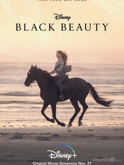 Chú Ngựa Đen Beauty Full HD VietSub - Black Beauty (2020)