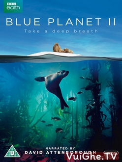 Hành Tinh Xanh 2 - Blue Planet II (2017)