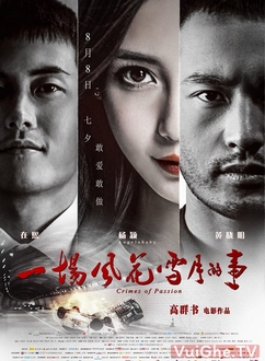 Phong Hoa Tuyết Nguyệt Full HD VietSub - Crimes of Passion (2013)
