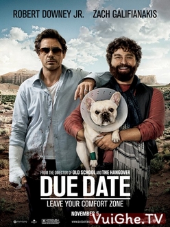 Đen Đủ Đường - Due Date (2010)