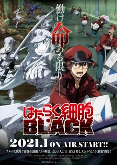 Biệt Đội Tế Bào Đen - Hataraku Saibou Black (TV) (2021)