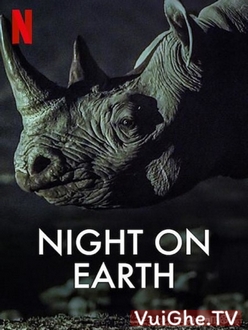Màn Đêm Trên Trái Đất (Phần 1) - Night On Earth (Season 1) (2020)