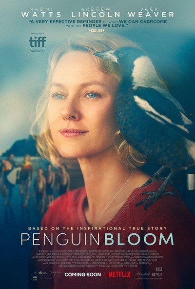 Cánh Cụt Nhà Bloom Full HD VietSub - Penguin Bloom (2021)