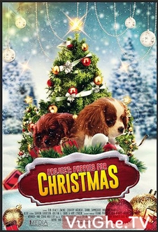 Cún Con Cho Giáng Sinh - Project: Puppies for Christmas (2019)