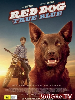 Chú Chó Trung Thành 2 Full HD VietSub - Red Dog: True Blue (2016)