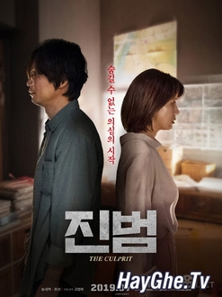 Thủ Phạm / Jinbeom - The Culprit (2019)