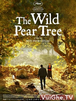 Cây Lê Dại Full HD VietSub - The Wild Pear Tree (2018)