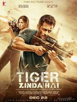 Điệp Viên Tiger 2 - Tiger Zinda Hai (2017)
