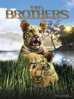 Hai Anh Em Hổ - Two Brothers (2004)